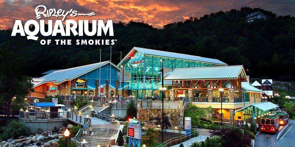 210 Cubs In The Treetops - Luxurious Cabin In Gatlinburg Exterior foto